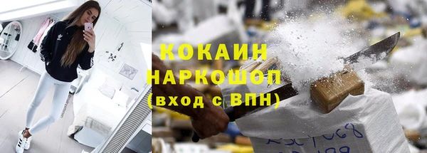шишки Абинск