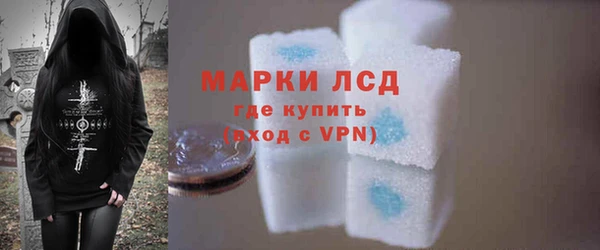 прущий лед Алзамай