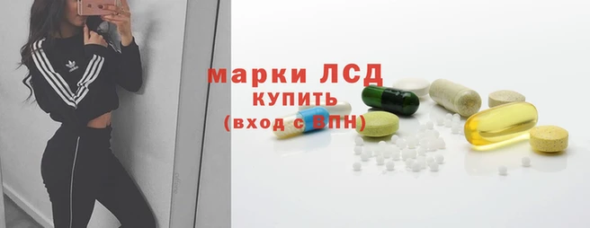 прущий лед Алзамай