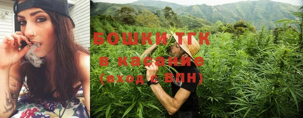 шишки Алексин