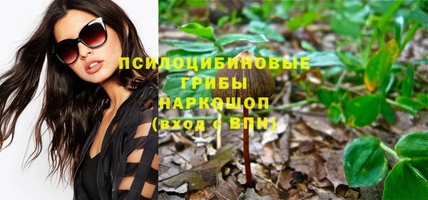 шишки Абинск