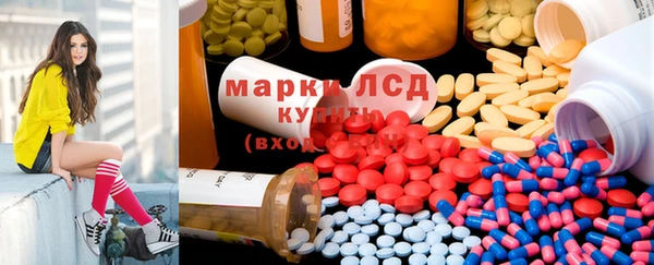прущий лед Алзамай