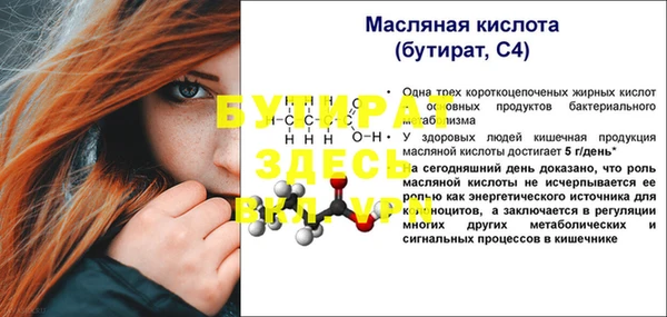 амф Гусь-Хрустальный